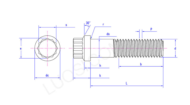 Flange Head 12 Point Cap Screw