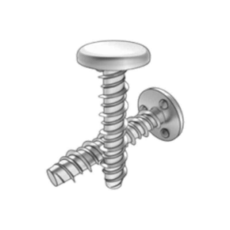 राउन्ड फ्ल्याट हेड प्रोजेक्शन वेल्ड स्टडहरू